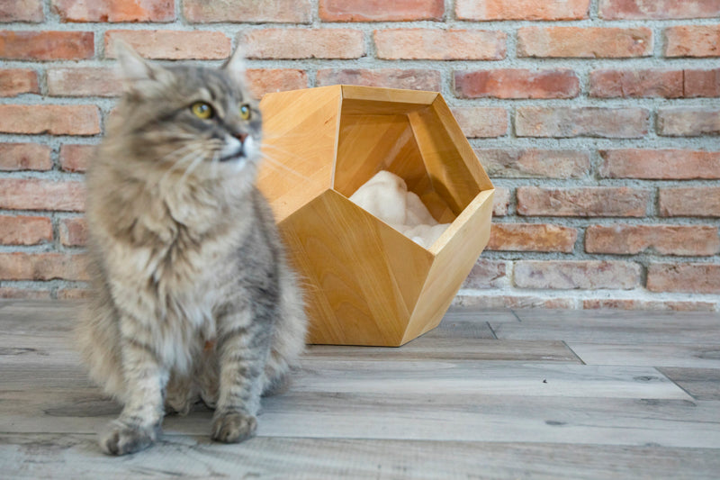Geometric pentagon wooden cat cave with a unique design, providing a cozy and stylish hideaway for your cat.